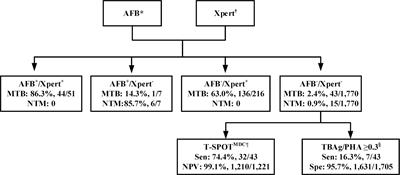 Harnessing Big Data to Optimize an Algorithm for Rapid Diagnosis of Pulmonary Tuberculosis in a Real-World Setting